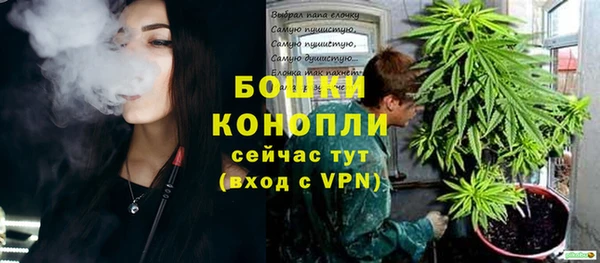 spice Абаза